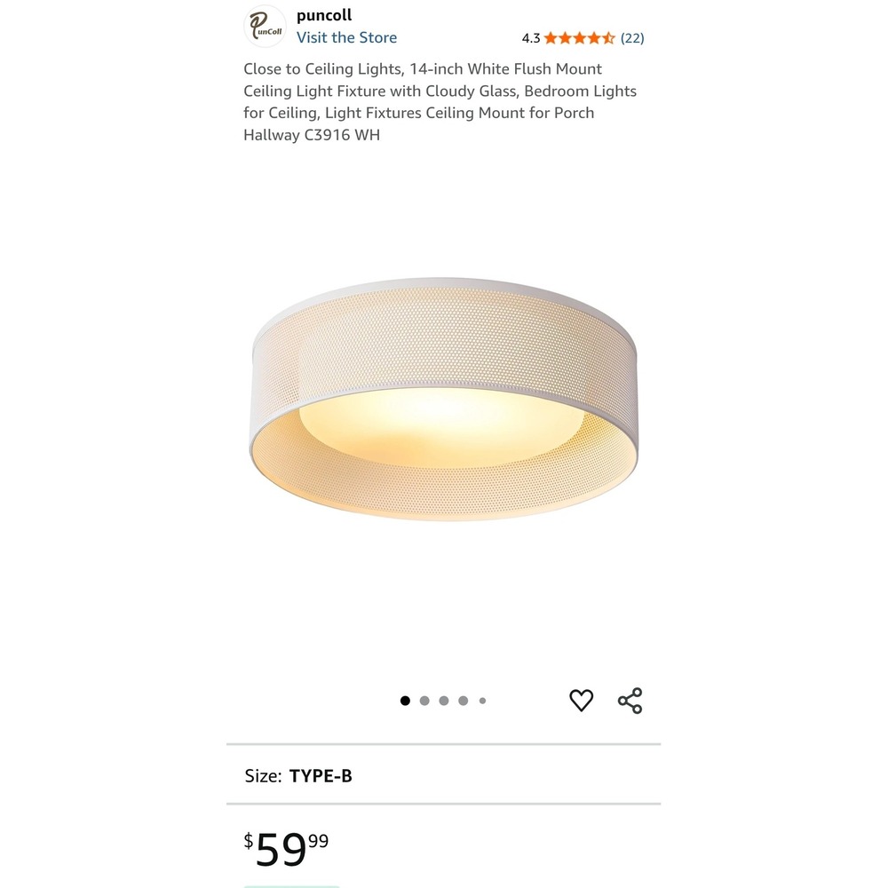 14" Puncoll Flush Mount Ceiling Light (Inv 1131)